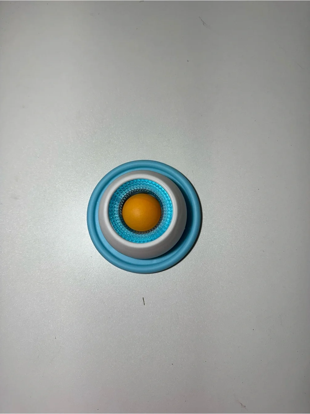 Blue & White Silicone Pet Slow Feeder